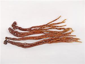 【源宇生物科技】破壁靈芝孢子粉每天應(yīng)該什么時(shí)間服用?